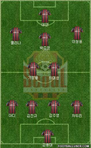 FC Seoul Formation 2014
