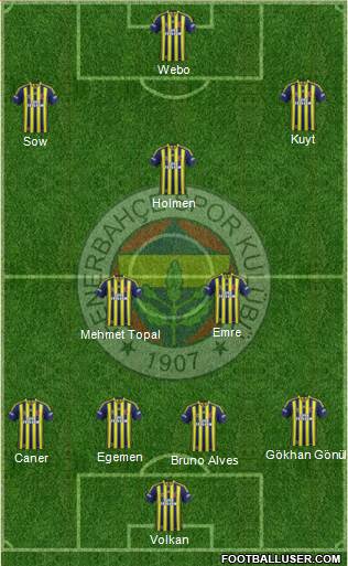 Fenerbahçe SK Formation 2014