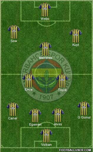 Fenerbahçe SK Formation 2014