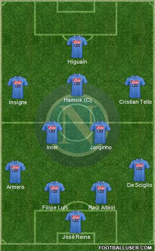 Napoli Formation 2014