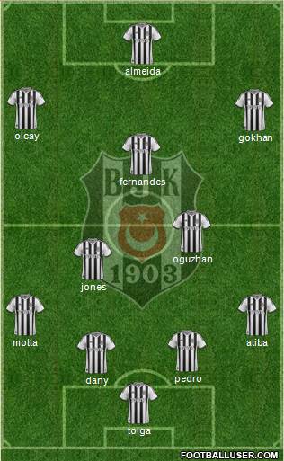 Besiktas JK Formation 2014