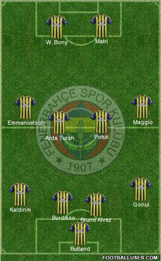 Fenerbahçe SK Formation 2014