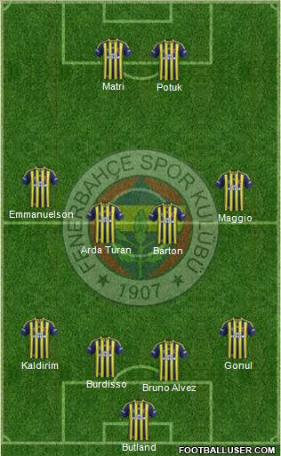 Fenerbahçe SK Formation 2014