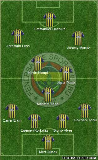 Fenerbahçe SK Formation 2014
