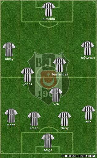 Besiktas JK Formation 2014