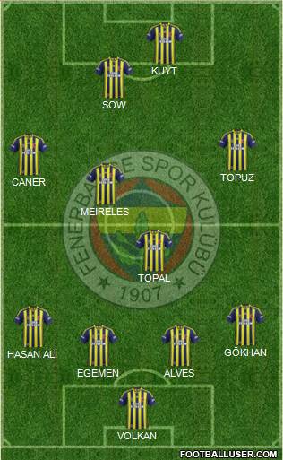 Fenerbahçe SK Formation 2014