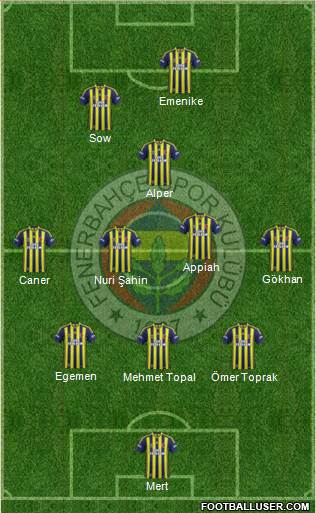 Fenerbahçe SK Formation 2014