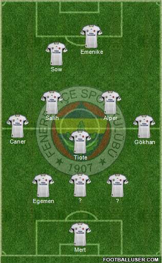 Fenerbahçe SK Formation 2014