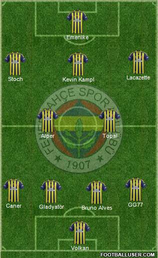 Fenerbahçe SK Formation 2014
