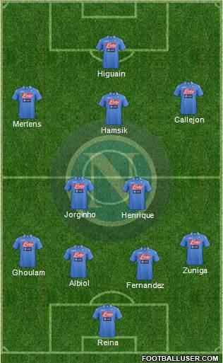 Napoli Formation 2014