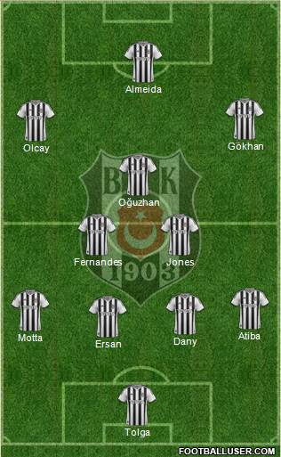 Besiktas JK Formation 2014