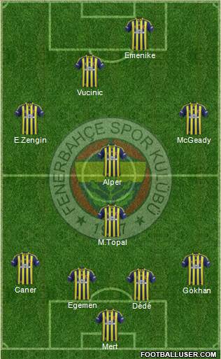 Fenerbahçe SK Formation 2014