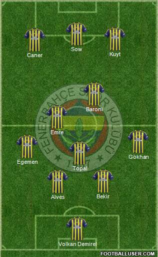 Fenerbahçe SK Formation 2014