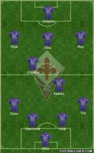 Fiorentina Formation 2014