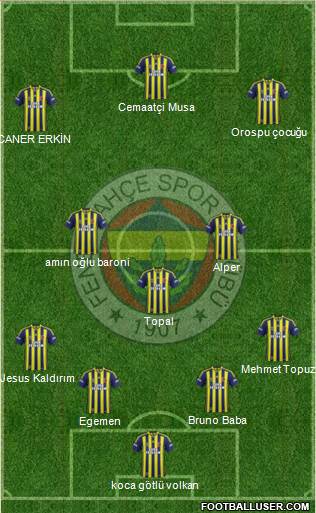 Fenerbahçe SK Formation 2014