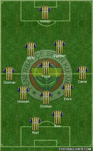 Fenerbahçe SK Formation 2014