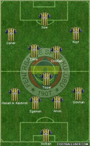 Fenerbahçe SK Formation 2014