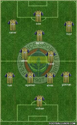 Fenerbahçe SK Formation 2014