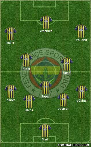 Fenerbahçe SK Formation 2014