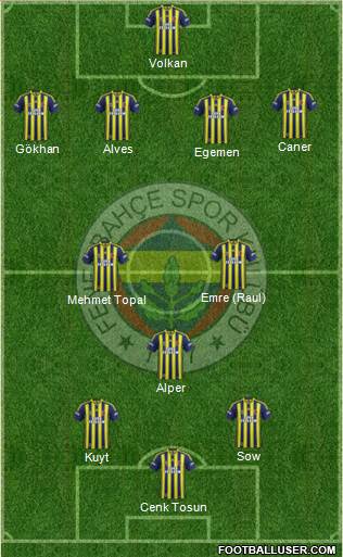 Fenerbahçe SK Formation 2014