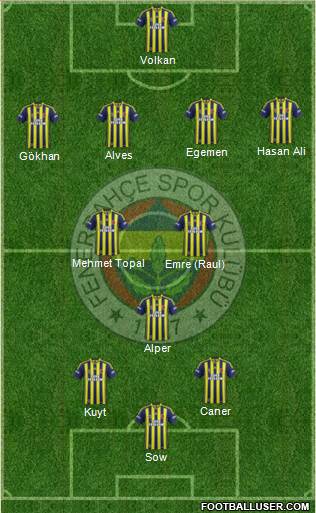 Fenerbahçe SK Formation 2014