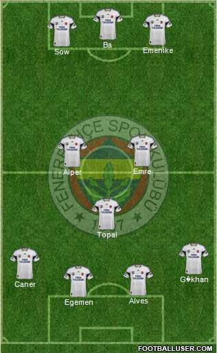 Fenerbahçe SK Formation 2014