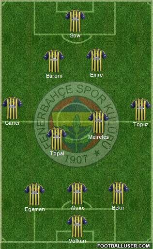 Fenerbahçe SK Formation 2014