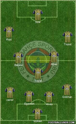 Fenerbahçe SK Formation 2014