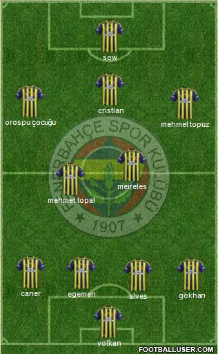 Fenerbahçe SK Formation 2014