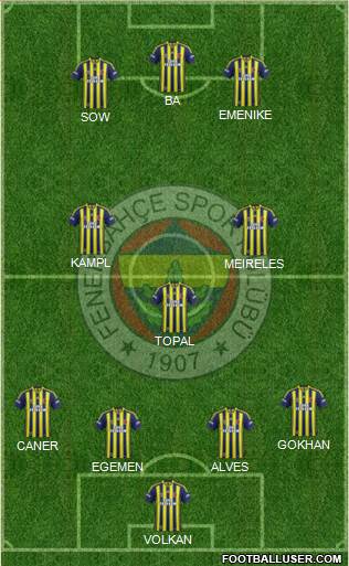 Fenerbahçe SK Formation 2014