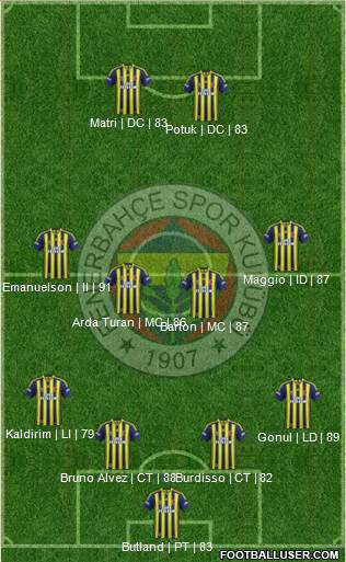 Fenerbahçe SK Formation 2014