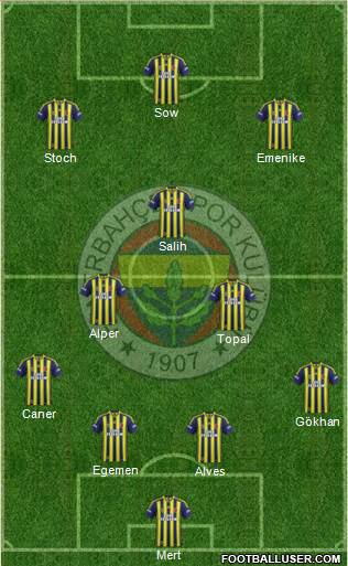 Fenerbahçe SK Formation 2014