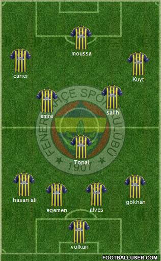 Fenerbahçe SK Formation 2014