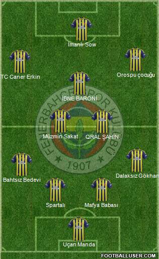 Fenerbahçe SK Formation 2014