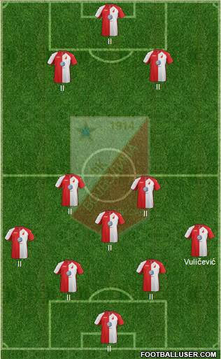 FK Vojvodina Novi Sad Formation 2014