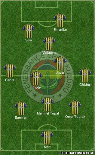 Fenerbahçe SK Formation 2014