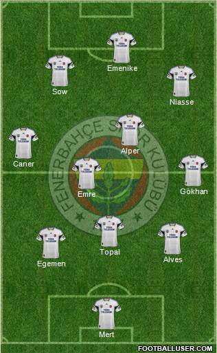 Fenerbahçe SK Formation 2014