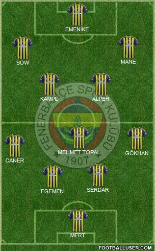Fenerbahçe SK Formation 2014
