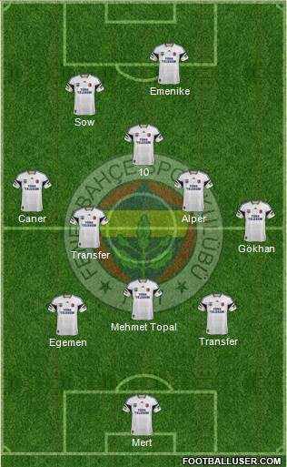 Fenerbahçe SK Formation 2014