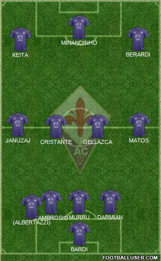 Fiorentina Formation 2014