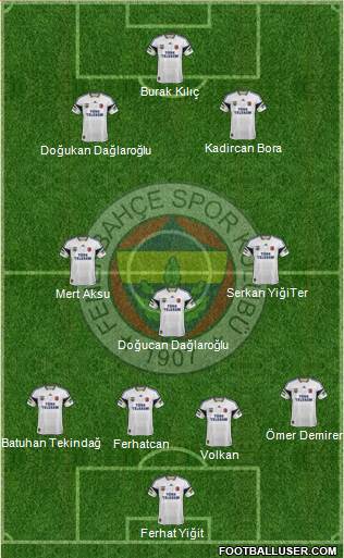 Fenerbahçe SK Formation 2014