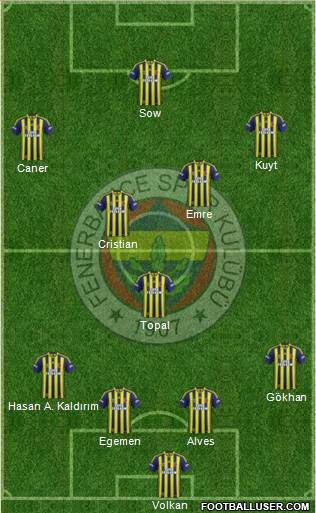 Fenerbahçe SK Formation 2014
