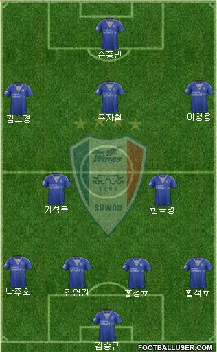 Suwon Samsung Blue Wings Formation 2014