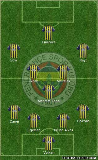 Fenerbahçe SK Formation 2014
