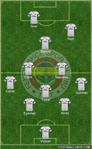 Fenerbahçe SK Formation 2014