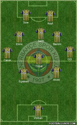 Fenerbahçe SK Formation 2014