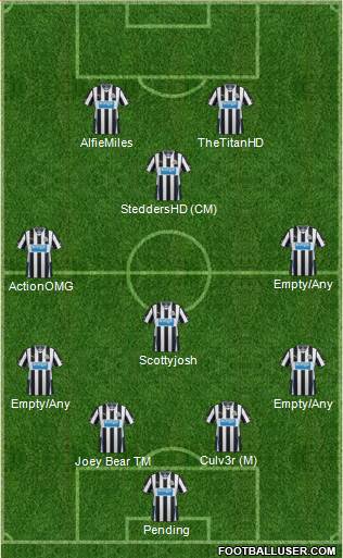 Newcastle United Formation 2014