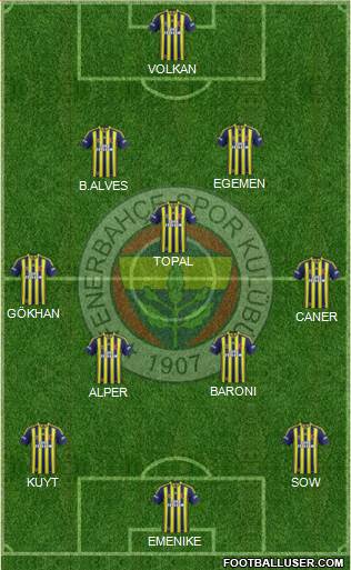 Fenerbahçe SK Formation 2014