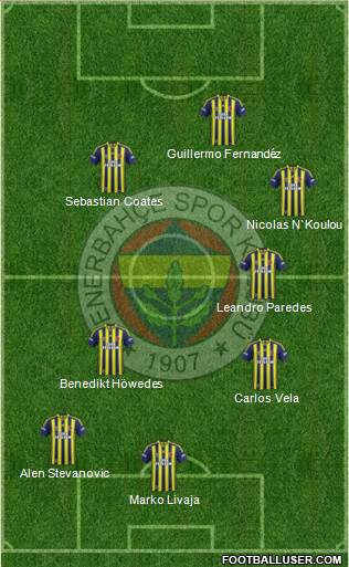 Fenerbahçe SK Formation 2014