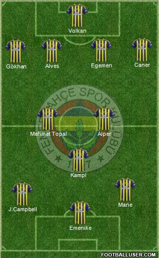 Fenerbahçe SK Formation 2014